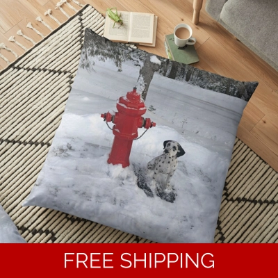 Floor Pillow Case Rush Signals Monument up at Le Studio Winter 2019